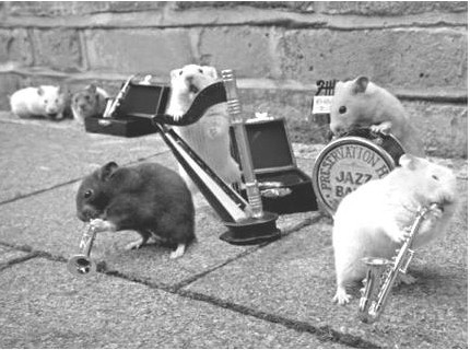 Mice
